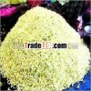 Natural Jasmine flower petals