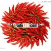 Red chillies with stem supplier