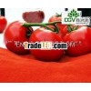 supply 28-30 tomato paste