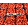 tomato prices