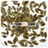 100% NATURAL DRIED DILL SEED