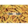Top Quality 100% Natural Turmeric