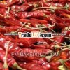 Indian Dry Chillies Seller