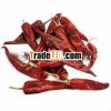 Indian Red Chillies Sellers