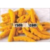EXPORT QUALITY INDIAN TURMERIC