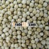 White Pepper