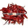 Indian Red Chillies Seller