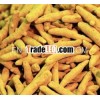 INDIAN EXPORTER OF TURMERIC STICK