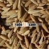 cumin