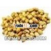 Coriander Seeds