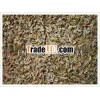 DRIED DILL SEED