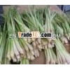 Organic lemon grass