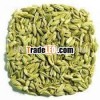 Indian Fennel Seeds In Bulk