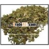 High Quality Dried Oregano Leaves Suppliers Form India