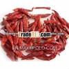 Indian Red chillies