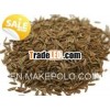 price for cumin seeds