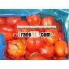 grade A frozen bell pepper