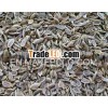 100% PURE DILL SEED