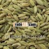fennel seeds suppliers