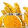 INDIAN TURMERIC POWDER A GRADE