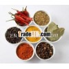 Organic Dried Turmeric Powder