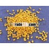 100% Natural Sortex Fenugreek Seeds Suppliers