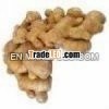 dried Ginger