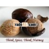 Myristica Fragrans / Nutmeg