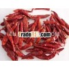 Red Chilli