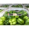 organic frozen green bell pepper