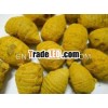 YELLOW TURMERIC WITH HIGH QUALITY FROM INDIA