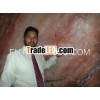 RMY Salt Mines Visiting 25