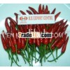 FRESH CHILI