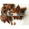 Star aniseeds Vietnam
