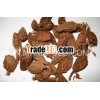Good price Black Cardamom - New Crop 2013 - Good price