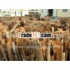Vietnam split cinnamon / cassia