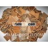 Square cut Cassia