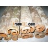 Tube cassia