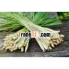 Fresh Lemongrass new crop 2013