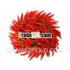 Fresh Red Chilli/ Viet Nam Red Chilli/ Fresh chili pepper