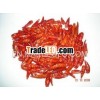 DRIED CHILLI