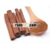 Big sales Cinnamon from Viet Nam