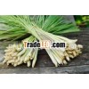 Fresh Lemongrass/ Prozen Vietnam Lemongrass New Crop 2013