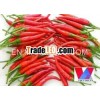 Fresh Red Chilli - 2013 New Crop - Good price