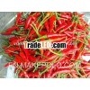 Fresh Chilli/ Red Chilli - BEST PRICE