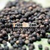 Selling black pepper best quality from Vietnam