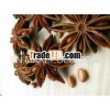 Star aniseeds without stem