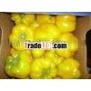 Yellow Capsicum