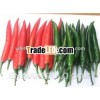 Fresh big red chilli/ Vietnam red chili 2013