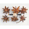Organic aniseed